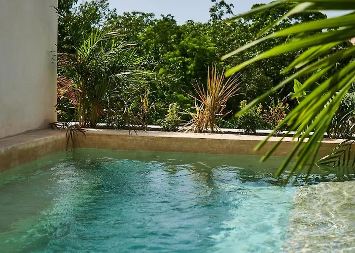 Apartamento Spacious & Comfy Penthouse Oasis With Plunge Pool
